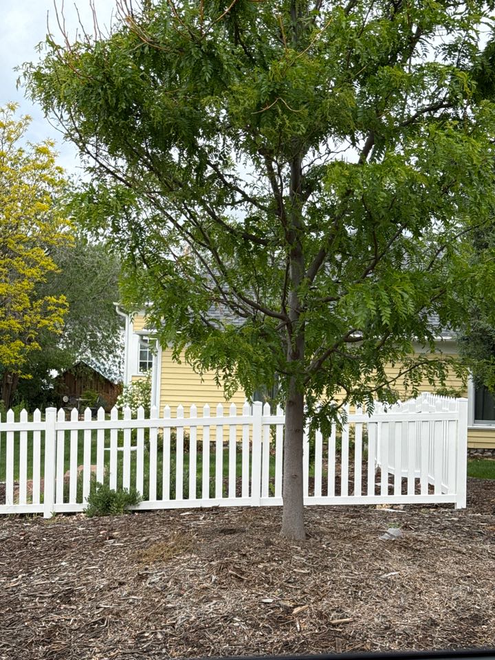 Castle Rock, CO - Top Rail Fence in Castle Rock, CO doing estimates for white vinyl picket fencing. Castle Rock, CO - Top Rail Fence in Castle Rock, CO doing estimates for white vinyl picket fencing.