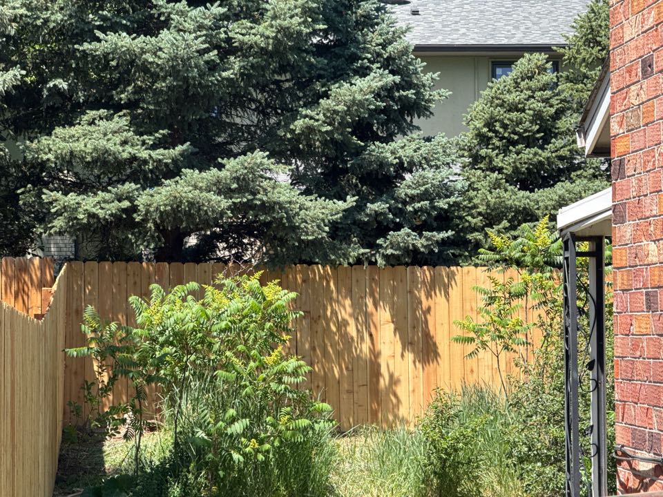 Centennial, CO - Top Rail Fence built this beautiful new Cedar Privacy fence here at this Centennial Colorado home! Centennial, CO - Top Rail Fence built this beautiful new Cedar Privacy fence here at this Centennial Colorado home!