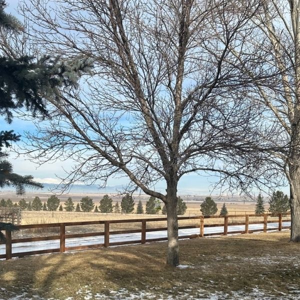 Ranch Rail