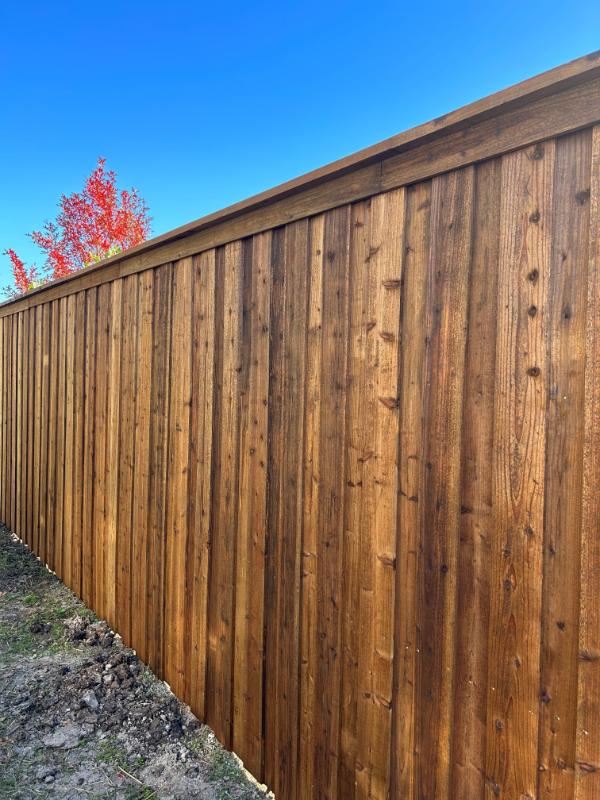 Cedar