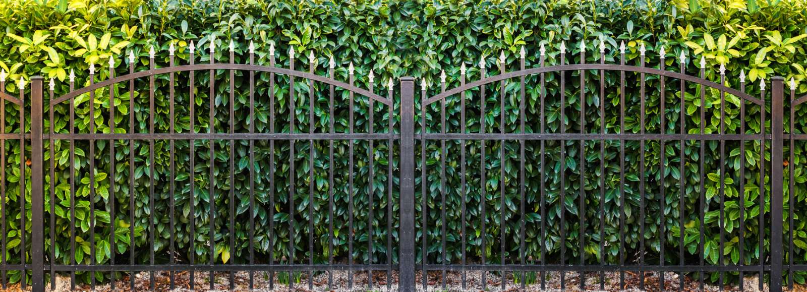 Fence Design