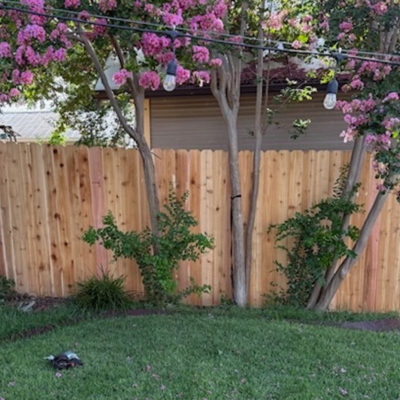 Stockade